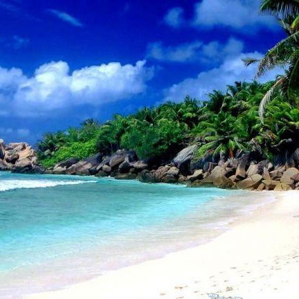 Данияр Саидов