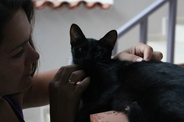 Олеся Почекаева