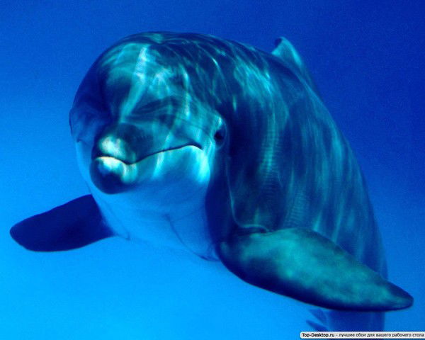 Фарит Кутлугалямов