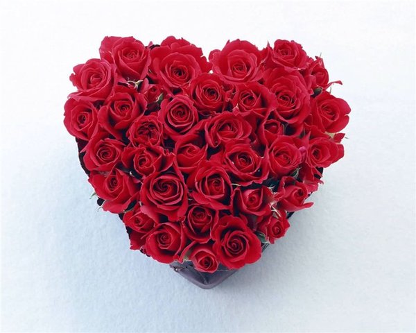 Алла Думрауф