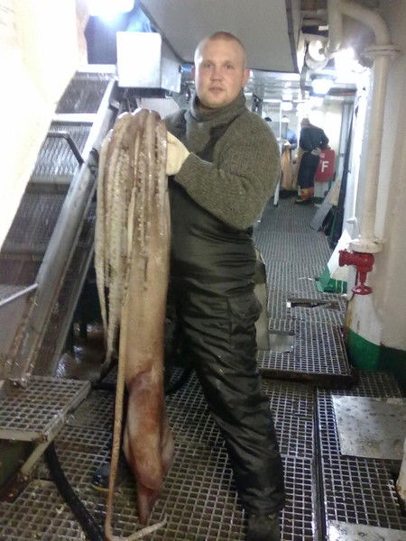 Бамбуча Панк