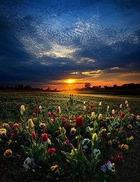 Павел Аксененко