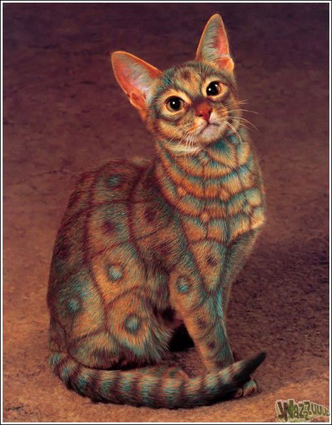 Наталья Таланова