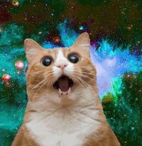 Павел Секов