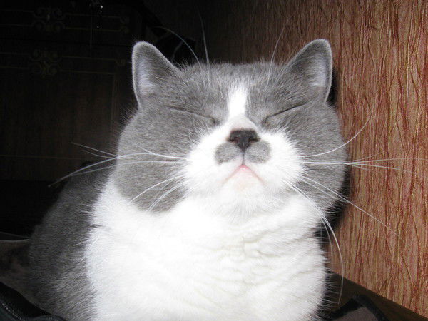 Марина Демидова