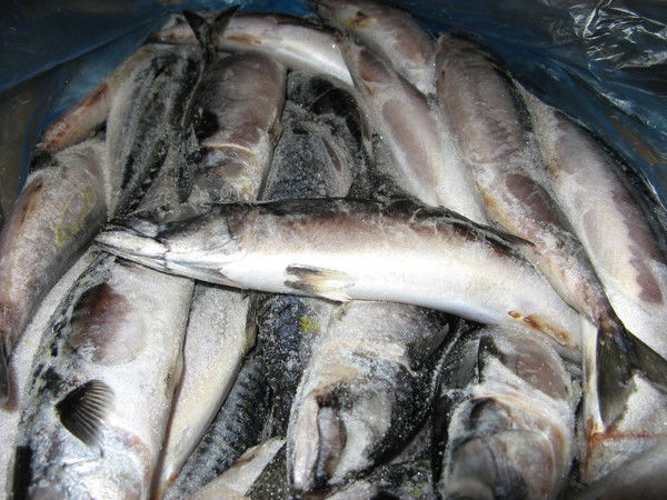 Сергей Тверецков