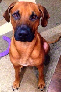 Алексей-Анастасия Полунов-Рагулина