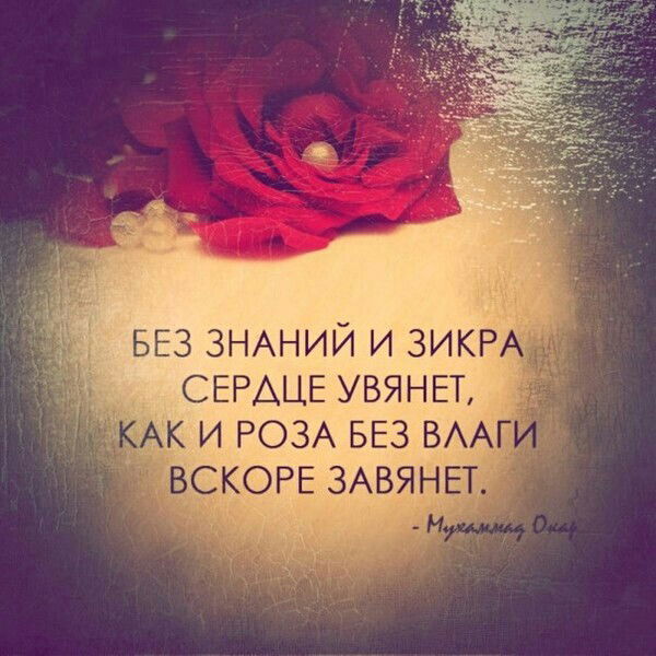 Махбура Мадиярова