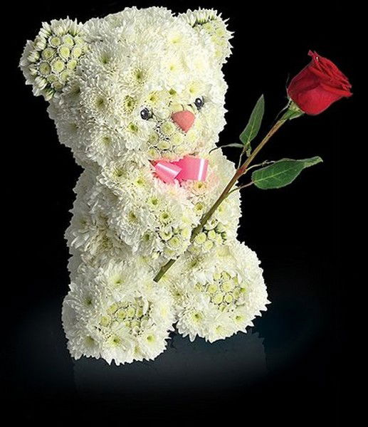 Светлана ******