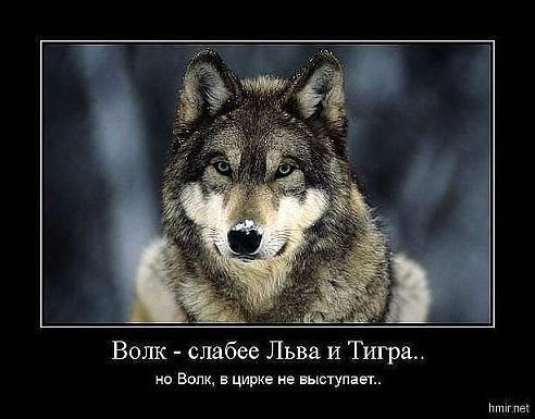 Боргардт Фёдор