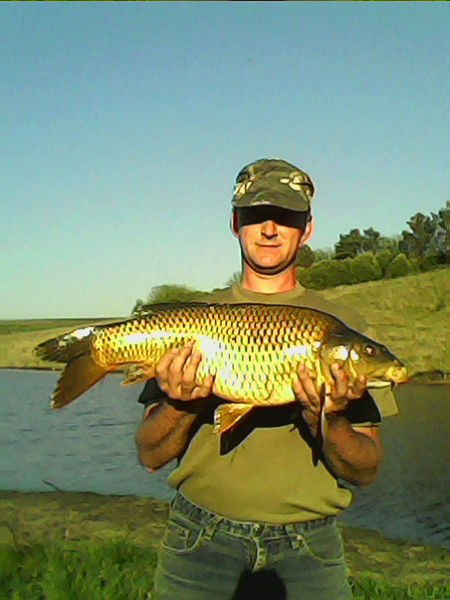 Николай Новиков