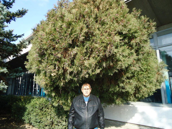 Виктор Жмайло