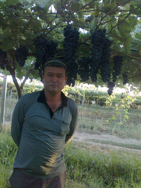 Абдурахмон Курбонов