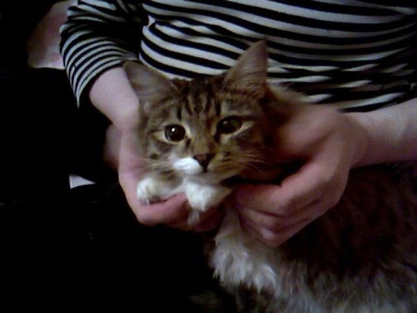 Николай Бессонов