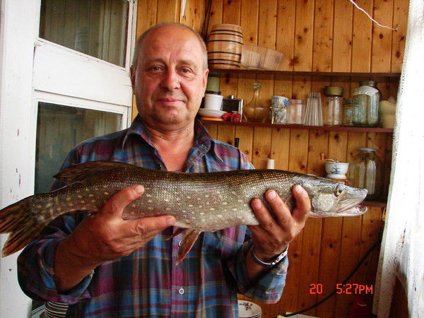 Елена Лимонова