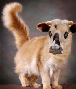 Сергей .иванов