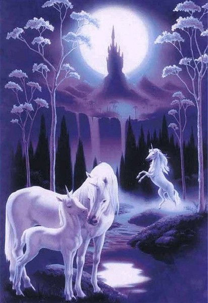 Даша Алексушина