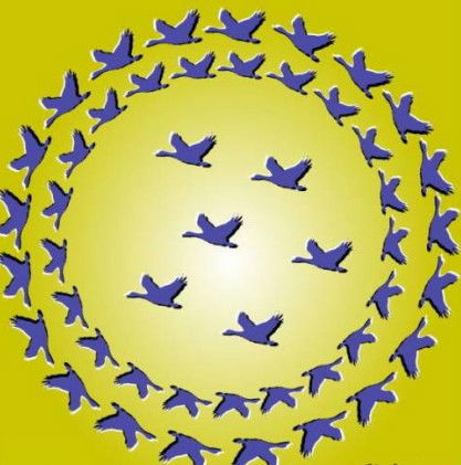 Лаура Дюсенбаева