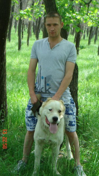 Дмитрий Левин