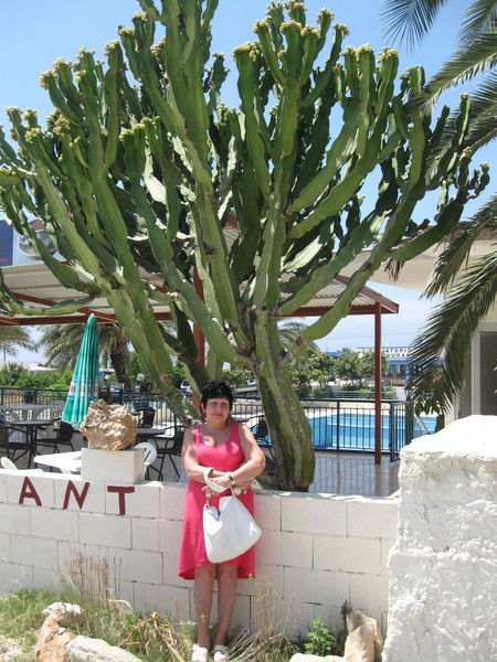 Валентина Пилипко