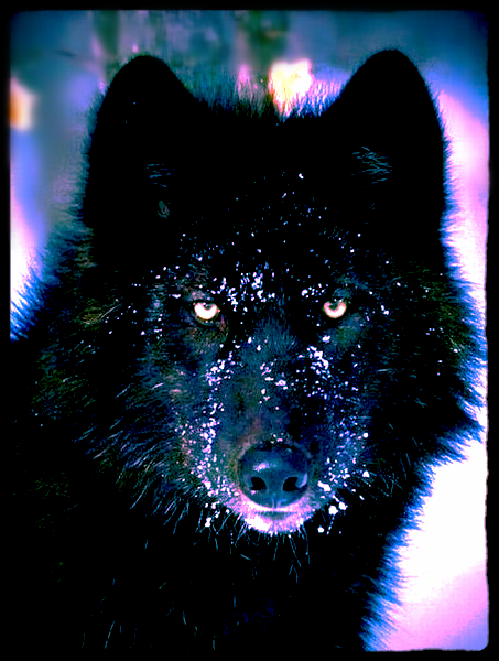 Руслан Карапетян