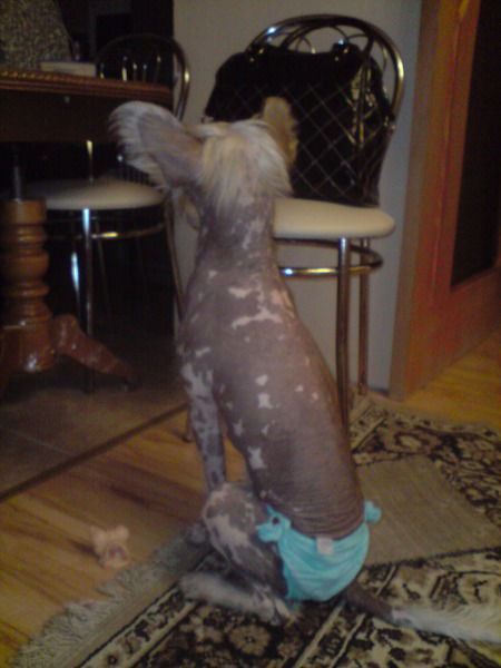 Жанна Барахова