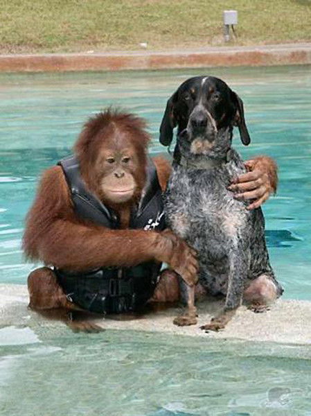 Александр Безкишко