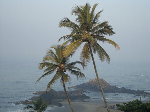 Елена Калиева