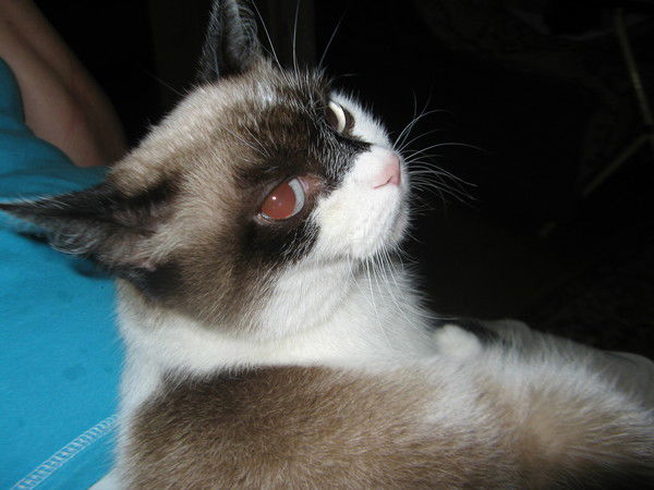 Наталия Ахмедова