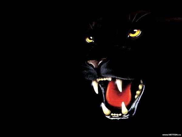 Адина Байханова