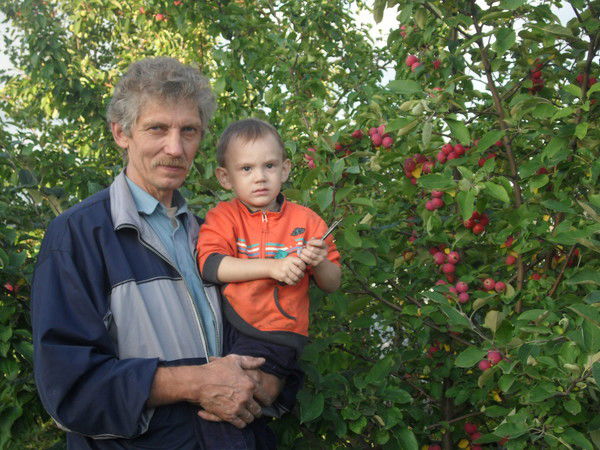 Александр Карашев