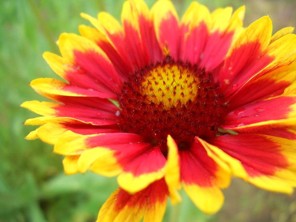 Татьяна Гладкова