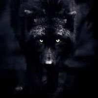 Wanja Макарчук