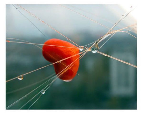 Ольга Дмитриева