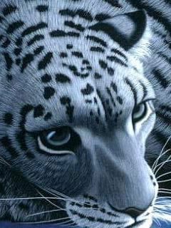 Александр Антропов