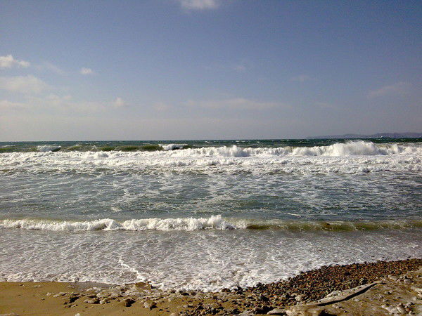 Евгений Кушнеревич