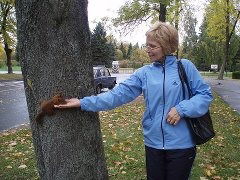 Елена Петрова