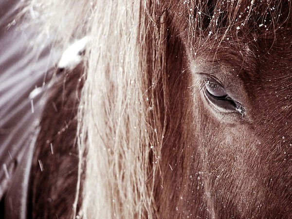 Aitolkun Tilekmat Kyzy