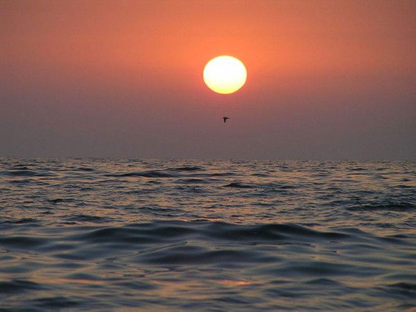 Карина Асоян