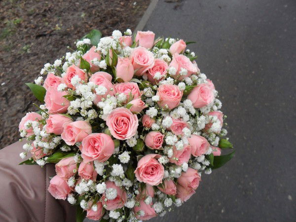 Светлана Морозова