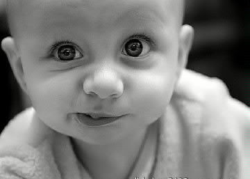 Максим Александрович