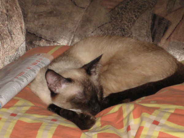 Наталья Борская