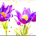 Светлана Киселева