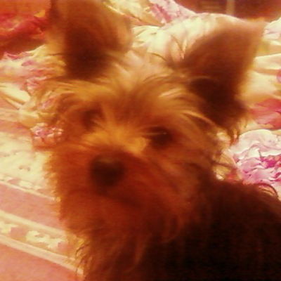 Владимир Бекасов