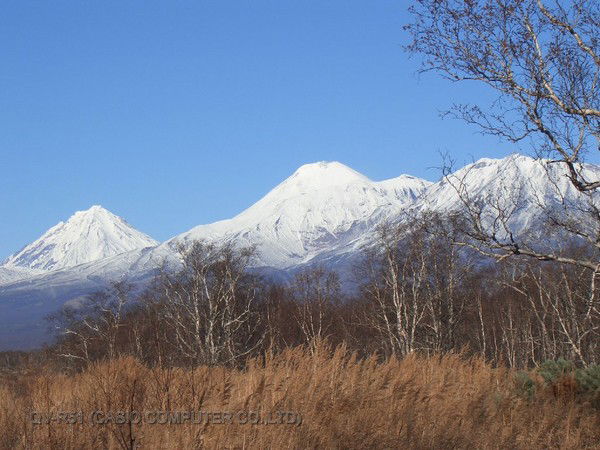 Анна Волкова