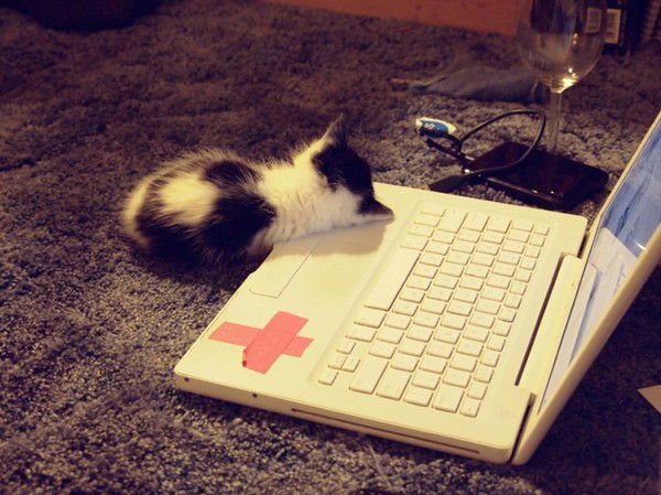 Andrei Менкунець