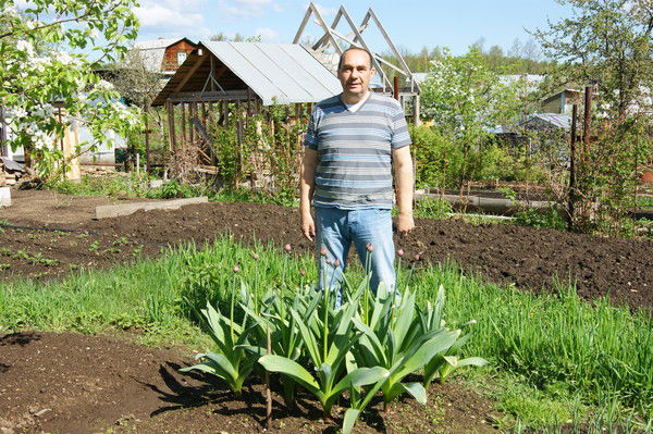 Жарков Андрей