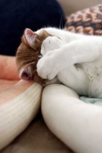 Елизавета Семенова