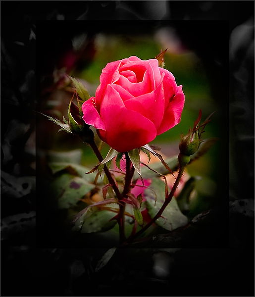 Марина Мартынова