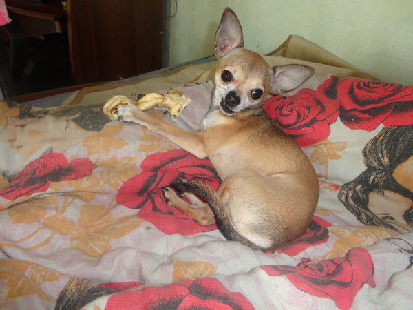 Кирюша Зимина